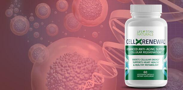 CellXRenewal