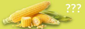 Is corn bad for diabetics?
